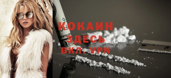 тгк Нея