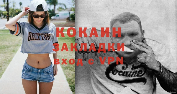 тгк Нея