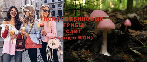 тгк Нея