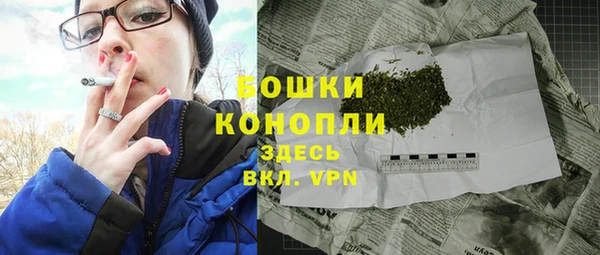 тгк Нея