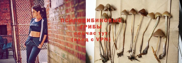 тгк Нея