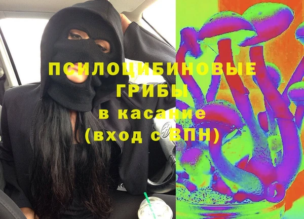 тгк Нея